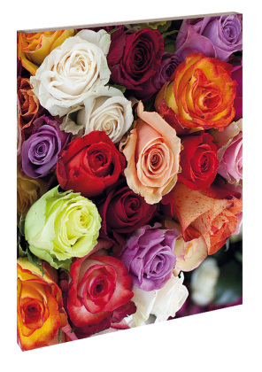 Blankbook Roses