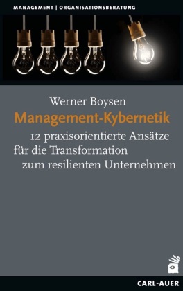 Management-Kybernetik