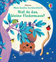 Mein buntes Gucklochbuch: Bist du das, kleine Fledermaus?