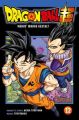 Dragon Ball Super 12