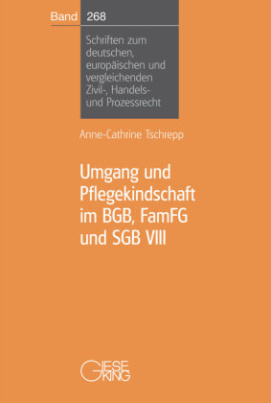 Umgang und Pflegekindschaft im BGB, FamFG und SGB VIII