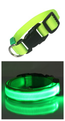  LED-Hundehalsband grün