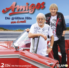 Die größten Hits von damals (TA)