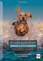 Die außergewöhnlichen Sinnesleistungen unserer Hunde