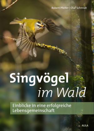 Singvögel im Wald