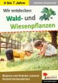 Wir entdecken Wald- und Wiesenpflanzen