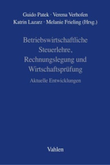 Betriebswirtschaftliche Steuerlehre, Rechnungslegung und Wirtschaftsprüfung