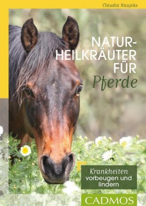 Naturheilkräuter für Pferde