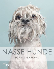 Nasse Hunde