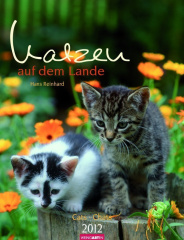 Katzen auf dem Lande