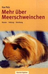 Mehr über Meerschweinchen