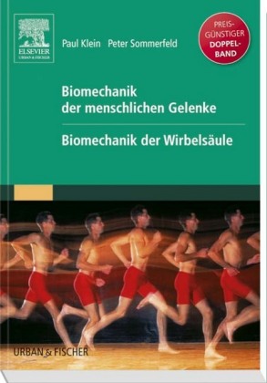 Biomechanik der menschlichen Gelenke. Biomechanik der Wirbelsäule