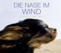 Die Nase im Wind