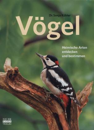 Vögel