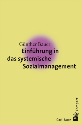 Einführung in das systemische Sozialmanagement