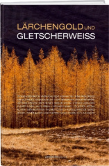 Lärchengold und Gletscherweiss