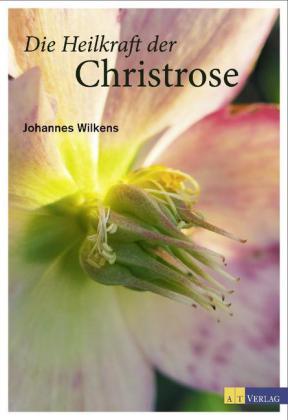 Die Heilkraft der Christrose