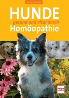 Hunde gesund und vital durch Homöopathie