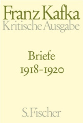 Briefe 1918-1920. Bd.4