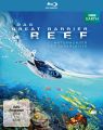 Das Great Barrier Reef Naturwunder der Superlative